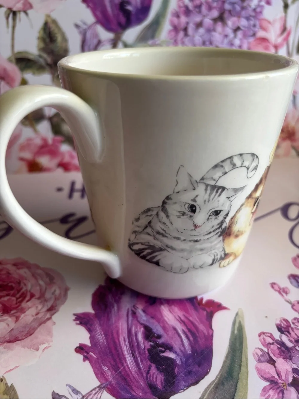 Mug/Pier 1 Cream Ceramic Mug with Puppy, Kitten & Pomeranian Illustrations